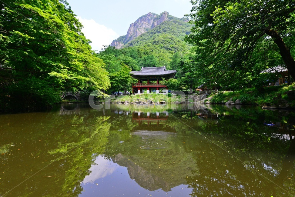 nature,자연,water,물,outdoors,옥외,장성,백양사,쌍계루,백학봉,연못,반영,연두색