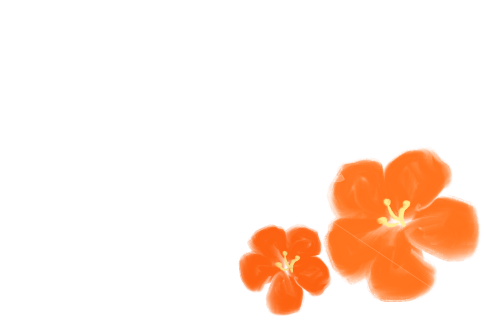 일러스트,꽃,수채화,식물,plant,손그림,누끼,remove background,그래픽,일러스트레이션,graphic,illustration