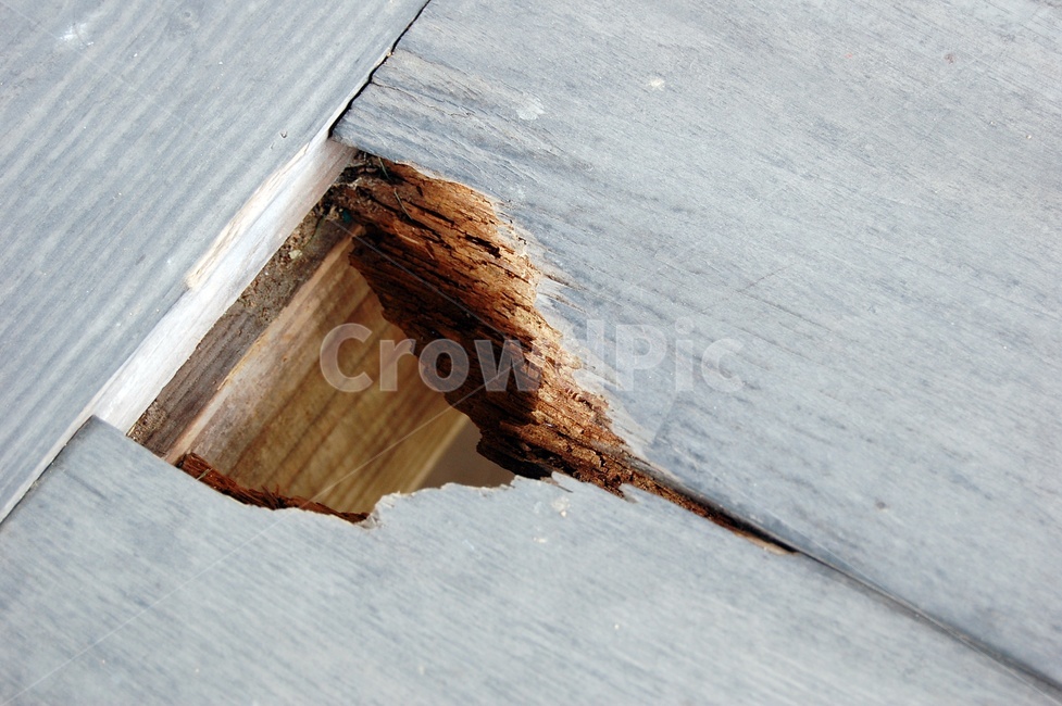 나무,구멍,바닥,충렬사,정자,wood,hole,목재건축물,전통건축물,나무,trees,wood
