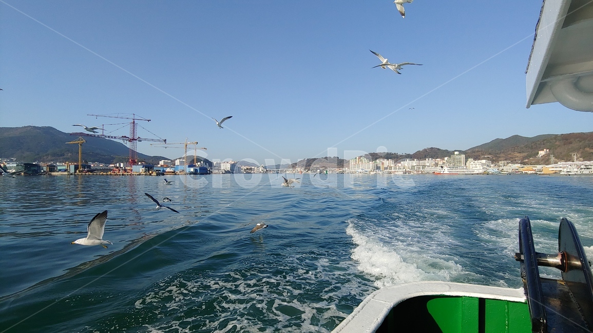 바다,파도,갈메기,항구,배