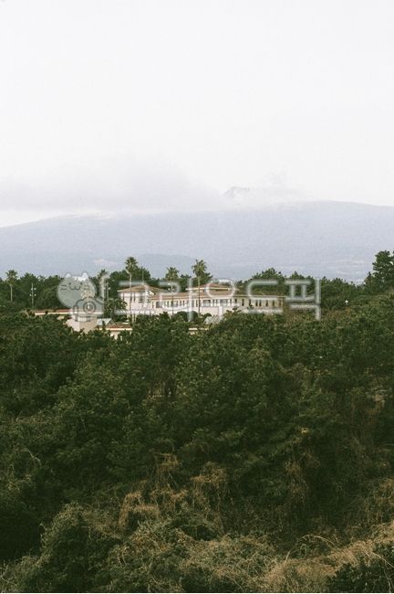 film,filmcamera,필카,필름카메라,자연,nature,옥외,outdoors,하늘,구름,야외,vegetation,초목,plant,식물,제주,제주도,jeju,한라산,건물,배경화면