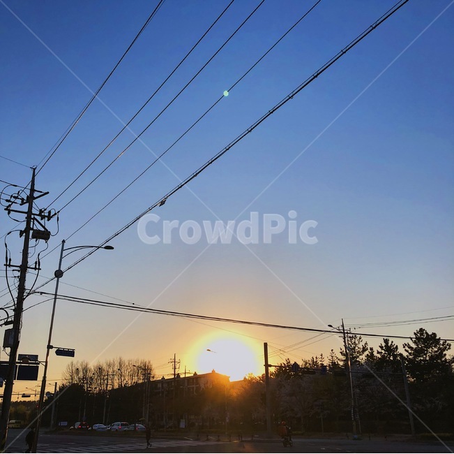 가로등,노을,저녁노을,해,일몰,햇빛,빛,신호등,도로,교통,교통수단,자동차,차,night,sun,light,car,하늘,파란하늘,sky,sunset,나무,tree,자연,풍경,nature,landscape