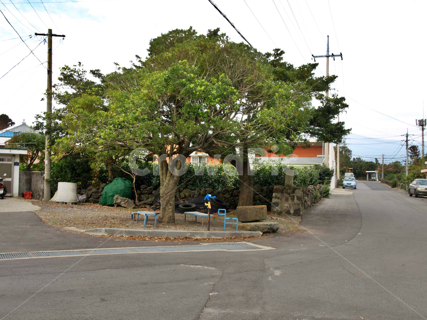 올레5코스,올레길,제주,서귀포시,간세,리본,시골,마을,풍경,landscape,country,rural,town