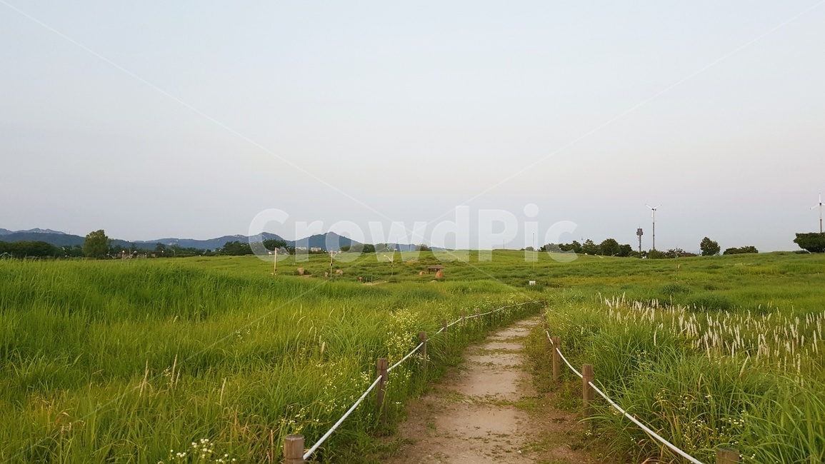 공원,산책길,산책,하늘공원,잔디,park,grass,들,자연,풍경,nature,landscape,outdoors,옥외,grassland,목초지,field