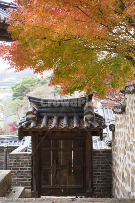 석파정,기와,가을,만추,단풍,가을,계절,fall,autumn,season,한국전통,한국문화,korean traditional,korean culture,건축물,건물외관,exterior,building,structure,architecture,construction