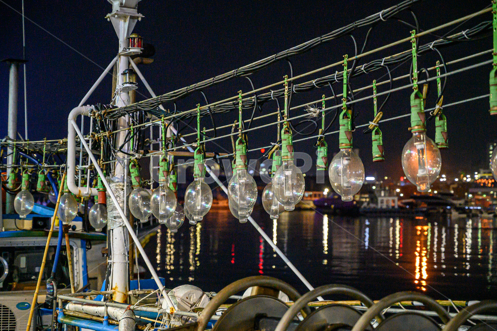 lighting,조명,port,부두,야경,선박,ship,어업,fishery,fishing industry
