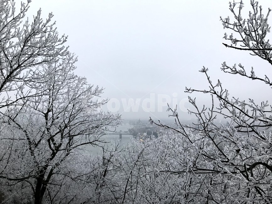 눈,겨울,헝가리,나무,자연,nature,outdoors,snow,winter