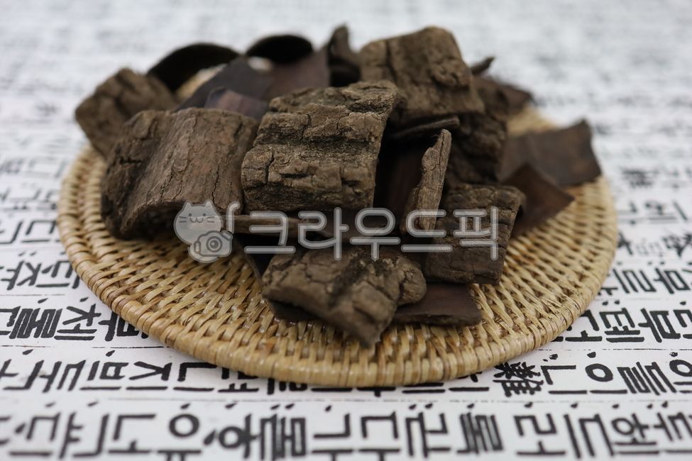 Euchung,cephalic shell,tree bark,tree,Roasted Tofu Chung,dried head worm