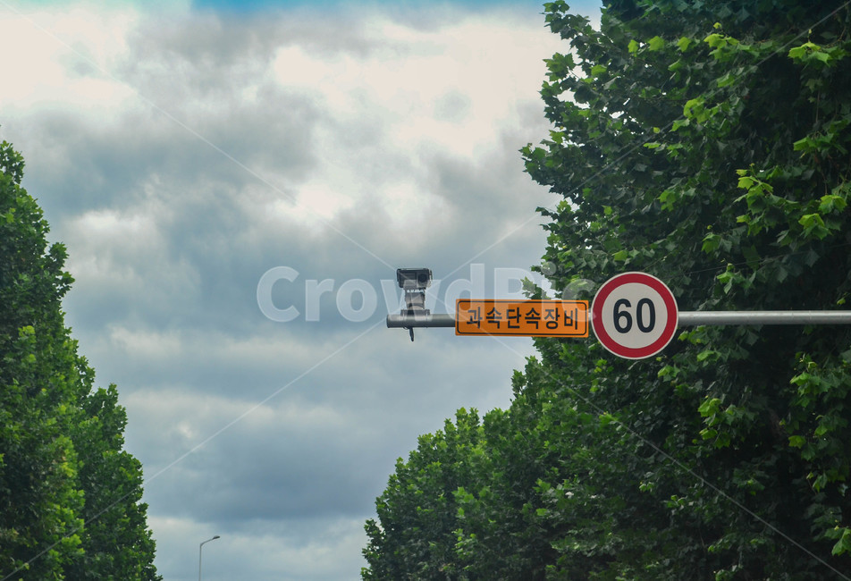 속도계,과속방지카메라,cctv,도로,60kmh,과속,교통,교통수단,traffic,transportation