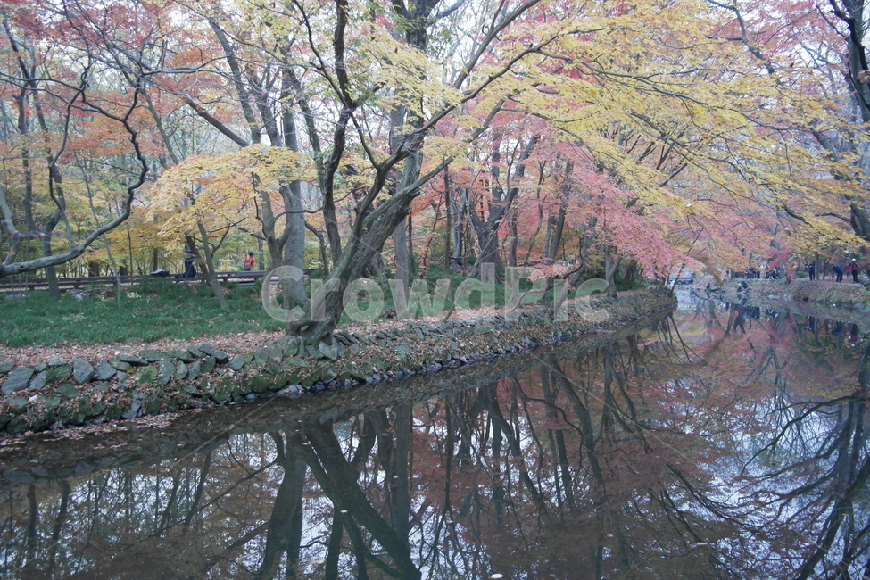 가을,단풍,선운사계곡,도솔천,풍경,반영,가을,계절,fall,autumn,season,자연,풍경,nature,landscape,land,땅,outdoors,옥외,tree,나무,plant,식물