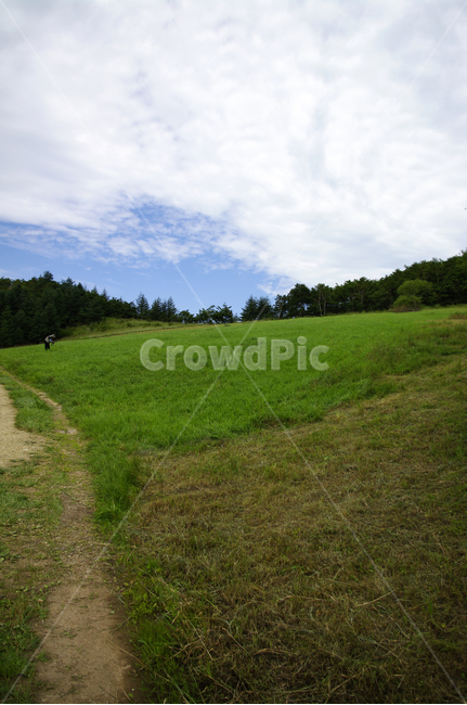 하늘,구름,초원,풍경,식물,자연,풍경,nature,landscape,field,들,outdoors,옥외,grass,잔디,plant