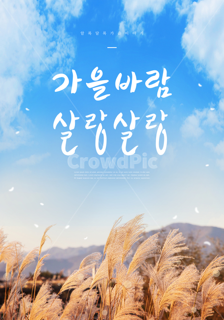 가을,감성,캘리,갈대,갈대밭,억새,하늘,빛,배경,풍경,캘리그래피,손글씨,한글,문구,글귀,타이틀,엽서,붓글씨,캘리그라피,가을,계절,fall,autumn,season,캘리그라피,손글씨,calligraphy,grass,잔디,plant,식물