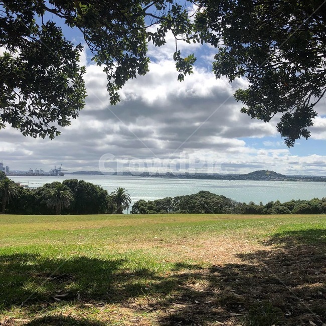뉴질랜드,바다,언덕,하늘,구름,newzealand,sea,hill,sky,cloud,nature,자연,나무,tree,자연,풍경,nature,landscape,해외,외국,세계,foreign,oversea,world,세계자연풍경,해외자연풍경,외국자연풍경,world nature landscape,field,들,grassland,목초지,outdoors,옥외,ground,바닥