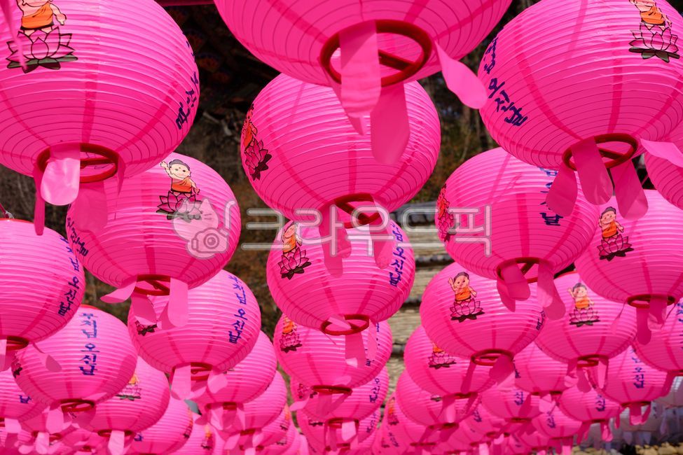 pink,etc,Buddhas birthday,Lotus lantern,temple