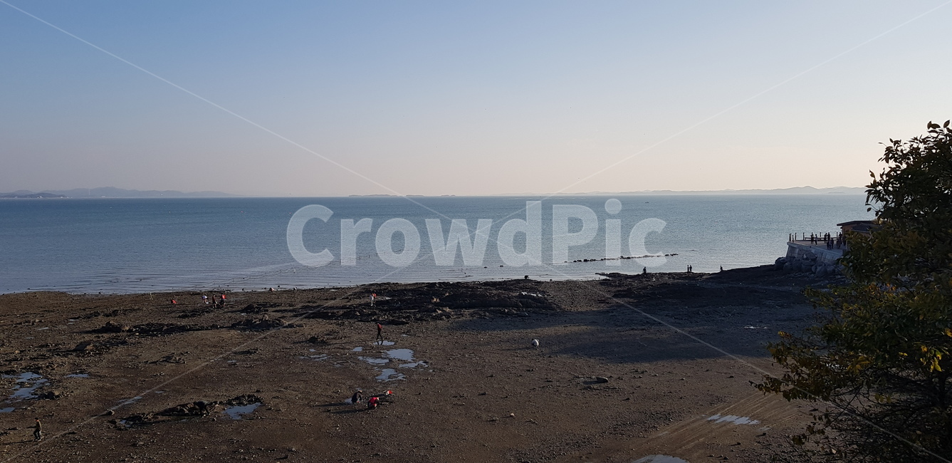 nature,자연,outdoors,옥외,shoreline,해안선,water,물,sea,바다,ocean,대양,coast,연안,ground,바닥