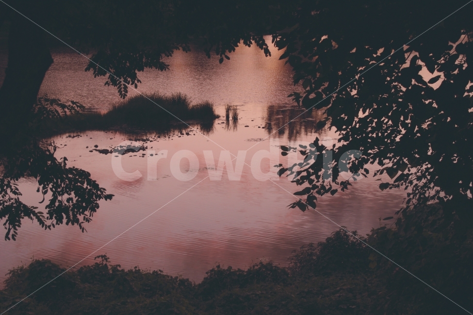 강물,노을,해질녘,숲,자연,풍경,자연,풍경,nature,landscape,감성,sensible,feeling,water,물,outdoors,옥외,land,땅
