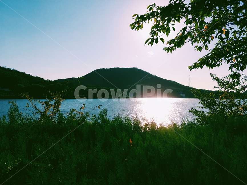저수지,강,river,blue,tree,나무,풍경,자연,풍경,nature,landscape,light,빛,flare,플레어,outdoors,옥외,water,물