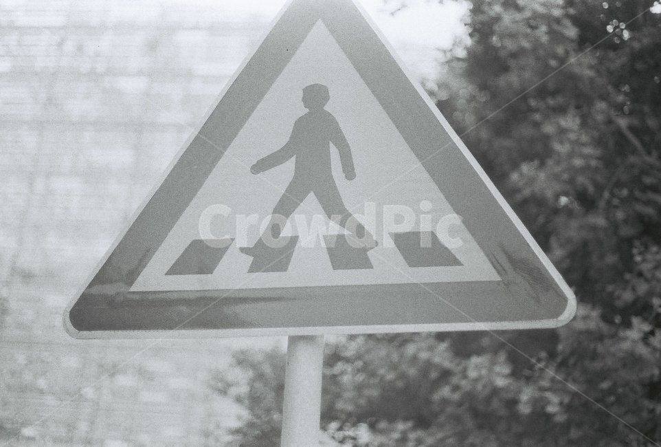 표지판,필름,필름카메라,film,안내판,횡단보도,교통,교통수단,traffic,transportation