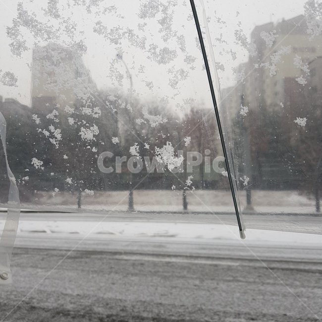 우산,눈,폭설,겨울,함박눈,자연