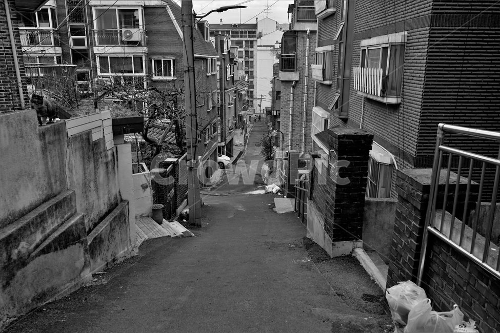 골목길,복잡,주택가,흑백,모노톤,주거지,downtown,path,road,narrow,bw,monotone,흑백사진,도로,골목,풍경,골목길,alley,흑백,모노톤,monochrome,black and white,town,도시,city,시티,street,거리,urban,어반,building,건물