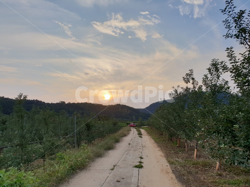 road,도로,흙길,시골,countryside,자연,풍경,nature,landscape