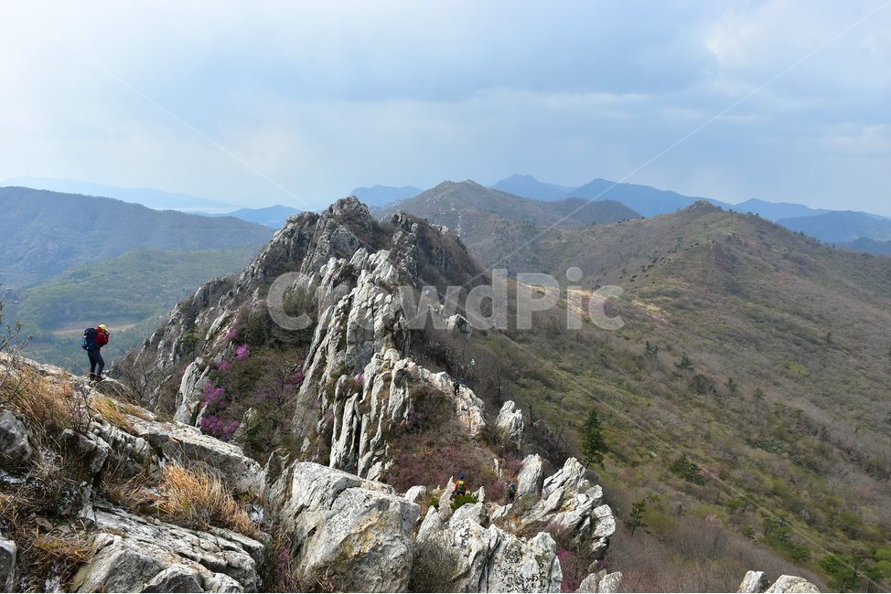 주작산,덕룡산,종주,진달래,풍경,기암,바위,비경,봄풍경,진달래꽃,강진,명산,산행,등산,마운틴,힐링,mountain,landscape,자연,natural,자연,풍경,nature,landscape,한국자연풍경,한국자연경관,korea nature landscape,outdoors,옥외,slope,경사,human,인간,person,사람,산,mountain range,산맥