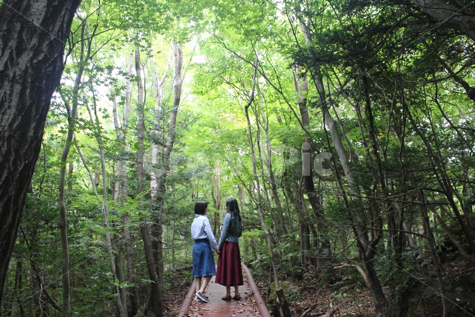숲,나무,forest,tree,친구,자매,여행,friends,sisters,trip,travel