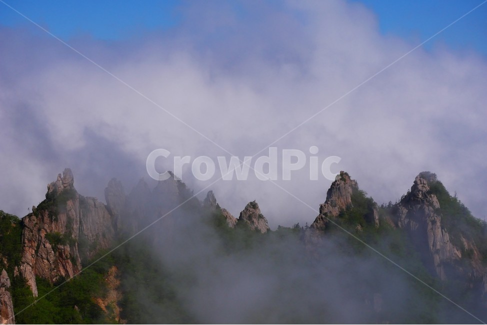 설악산,공룡능선,운해,여명,구름바다,자연,풍경,nature,landscape,한국자연풍경,한국자연경관,korea nature landscape,weather,날씨,outdoors,옥외