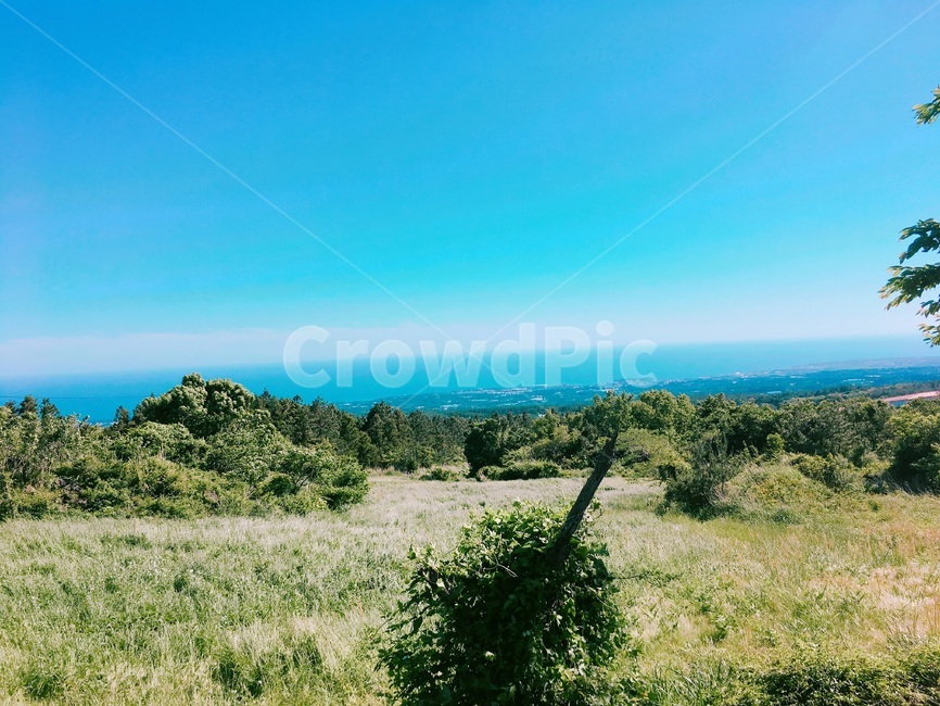 제주도,바다,지평선,숲,바람,자연,풍경,nature,landscape,outdoors,옥외,grassland,목초지,field,들
