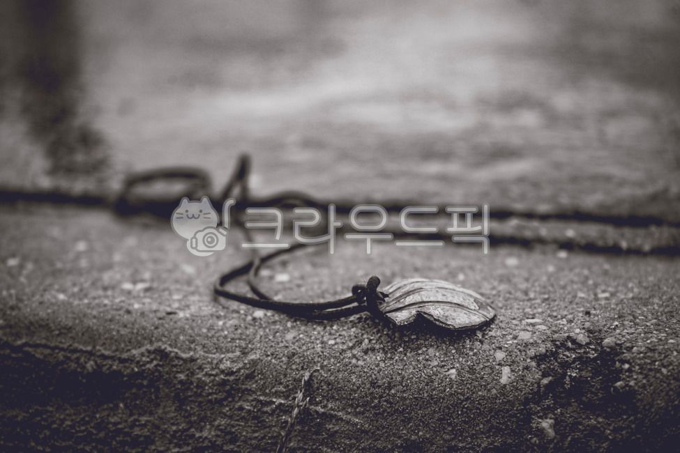 조개,흑백,순례길,순례자,감성