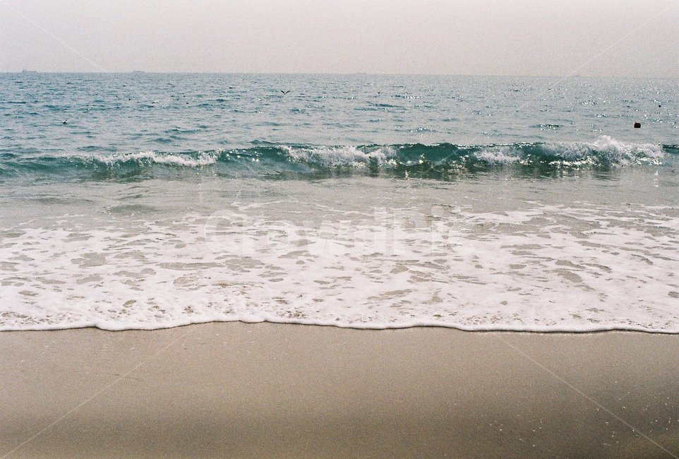 해운대,파도,바다,해변,여름,물,거품,blue,sea,summer,자연,풍경,nature,landscape,해변,바다,beach,sea,감성,sensible,feeling,water,outdoors,옥외,ocean,대양