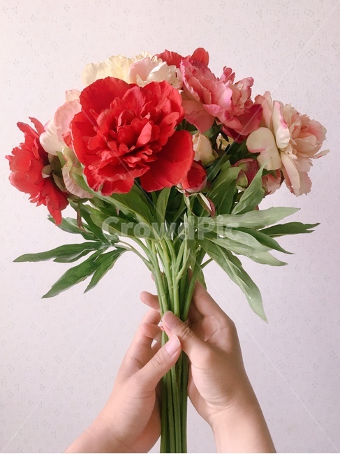 꽃,flower,꽃사진,꽃병,손,손사진,손꽃,꽃을든남자,꽃배경화면,배경화면사진,꽃배경,가을,코스모스,꽃,flower,사람,인물,인간,human,person,신체일부,몸,body