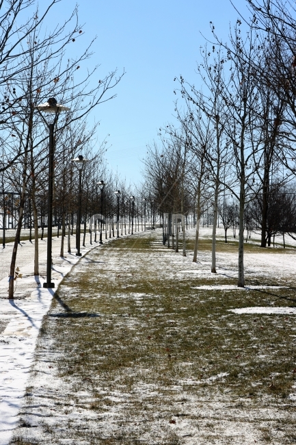 산책로,겨울,공원,눈,거리,눈길,풍경,눈밭,폭설,흰색,흰눈,겨울사진,snow,white,나무,잔디,산책길,산책,겨울,계절,winter,season,자연,풍경,nature,landscape,tree,plant,식물,ground,바닥