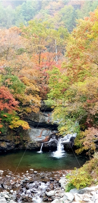 단풍,가을,계곡,폭포,트래킹,가을,계절,fall,autumn,season,자연,풍경,nature,landscape,water,물,outdoors,옥외