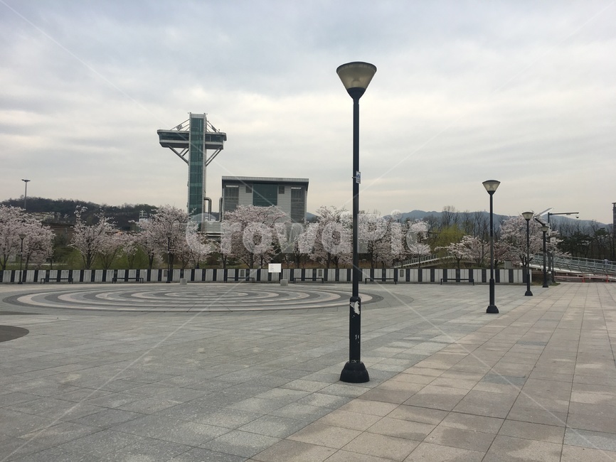 가로등,벚꽃,풍경,자연,공원,park