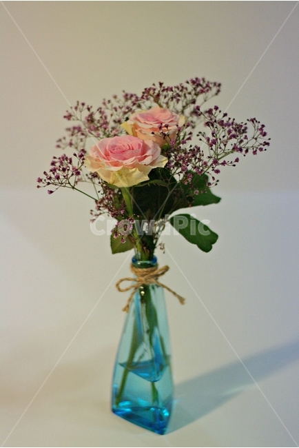 꽃,부페,꽃다발,봄,식물,꽃병,flower,자연,plants,nature,실내용화초,화분,화초,houseplant,인테리어,실내디자인,interiordesign,실내용화초,화분,화초,house plant