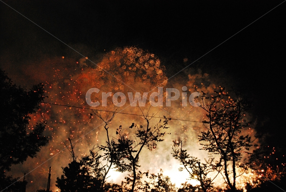 불꽃놀이,불꽃축제,축제,불꽃,불빛,밤,나무,야경,야경,밤,풍경,nightscape,night,landscape,축제,행사,festival,carnival,event,nature,자연,outdoors,옥외,fire,불