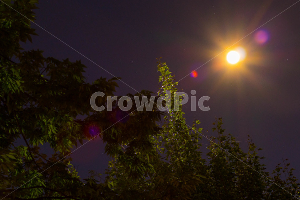 달,보름달,하늘,구름,감성,moon,fullmoon,cloud,sky,moody,자연,nature,밤,자연,풍경,nature,landscape,야경,밤,nightscape,night,light,빛,flare,플레어,outdoors,옥외