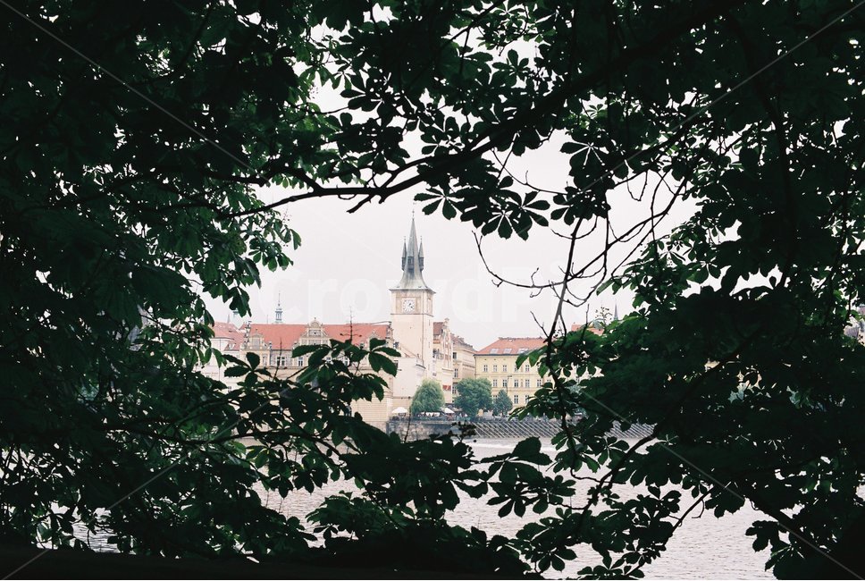 체코,프라하,나무,czech,prague,블타바강,도시,풍경,city,landscape,해외,외국,세계,foreign,oversea,world,세계도시풍경,해외도시풍경,외국도시풍경,world cityscape,spire,첨탑,steeple,뾰족한 탑,architecture,건축물,building,건물,tower,탑