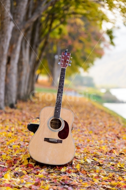 감성,기타,풍경,가을,단풍,가을,계절,fall,autumn,season,연출,컨셉,콘셉,direction,concept,악기,음향기기,musical instrument,musical equipment,guitar,leisure activities,레저 활동
