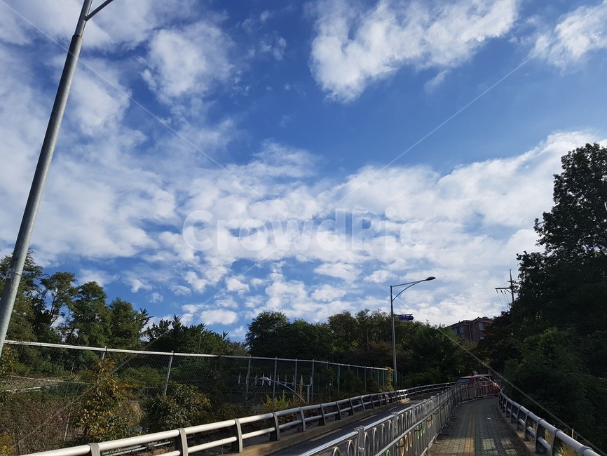 하늘,구름,파랑색,화창,좋은날씨