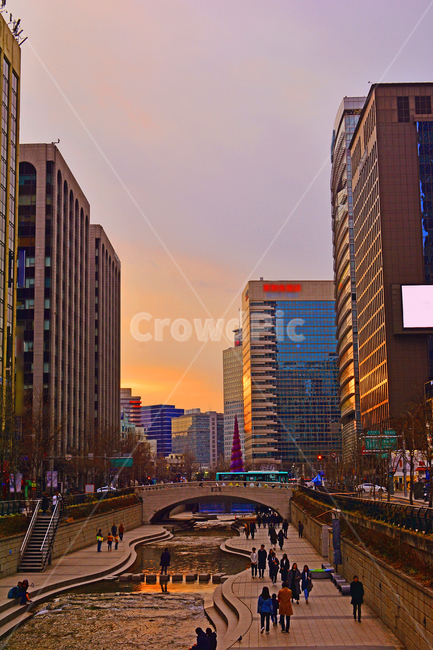 비즈니스,고층빌딩,랜드마크,빌딩,사무실,대기업,회사,금융가,증권가,오피스가,저녁풍경,시내,중심가,서울,햇빛,노을,기업,석양,해질무렵,building,sunset,street,seoul,도시풍경,metropolis,city,town,대도시,현대도시,skyscrapers,초고층빌딩,townscape,cityscape,풍경,퇴근시간,부동산,건축물,건물,건물외관,유리창,glass,도시,풍경,city,landscape,한국도시풍경,한국도시경관,korea cityscape,road,도로,중심지,urban,어반,시티,freeway,고속 도로