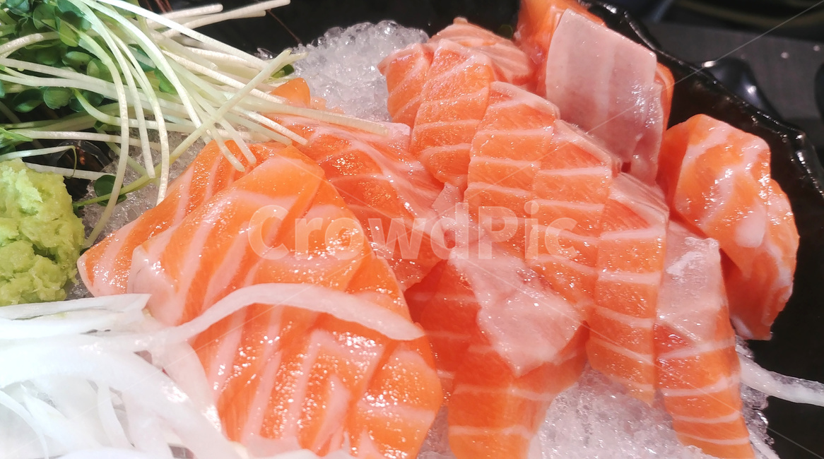 연어,생연어,연어회,회,안주,음식,식재료,요리,food,cook,meal,dishes,food reserves,수산물,해산물,fishery products,seafood