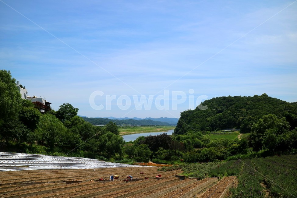 연천,허브마을,산,나무,하늘,풍경,꽃밭,자연,산업,industry,industrial,농업,농사,agriculture,farming,farming industry