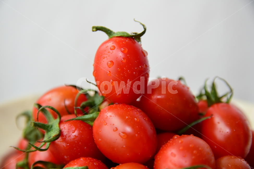 토마토,방울토마토,꼭지,빨간,물방울,맛있는,빨강,디피한,연출한,컨셉,콘셉,delicious,red,dp,concept,tomato,음식,식재료,음식재료,음식,식재료,요리,food,cook,meal,dishes,food reserves,과일,열매,fruit,연출,컨셉,콘셉,direction,concept