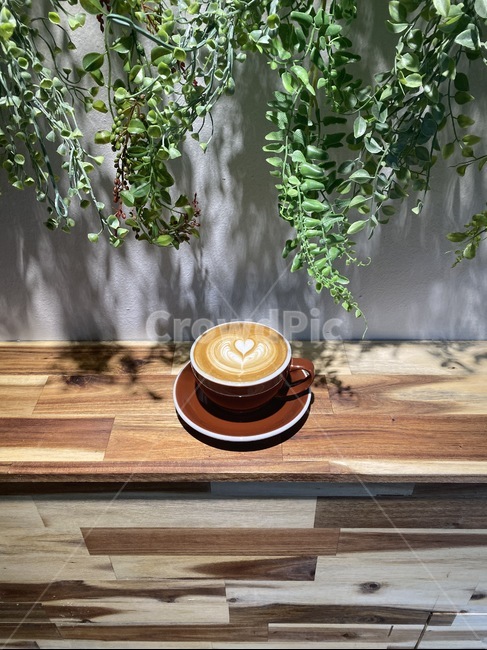 saucer,받침접시,pottery,도기류,커피,휴식,여유,식물,카페,카페라떼,머그잔,커피잔,relax,coffee,cafe,cafelatte,커피,카페,coffee,cafe
