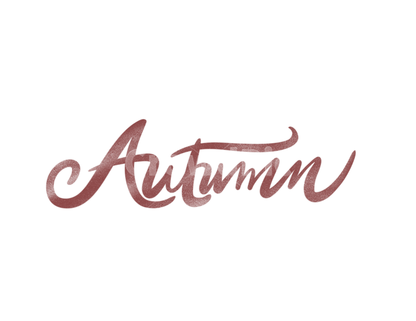 가을,캘리그라피,fall,autumn,영어필기체,영문캘리그라피,가을,계절,fall,autumn,season,그래픽,일러스트레이션,graphic,illustration,캘리그라피,손글씨,calligraphy