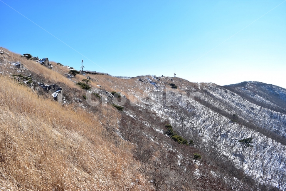 오서산,설경,눈꽃,풍경,겨울,자연,눈,스포츠,등산,산행,nature,snow,겨울풍경,느낌,아름다운,신비로운,경이로운,다큐,필,힐링,명산,국립공원,순백,landscape,winter,season,천제단,운해,영산,트레킹,인기명산,조망,전망,억새,광천,겨울,계절,winter,season,자연,풍경,nature,landscape,한국자연풍경,한국자연경관,korea nature landscape,slope,경사,ground,바닥,outdoors,옥외