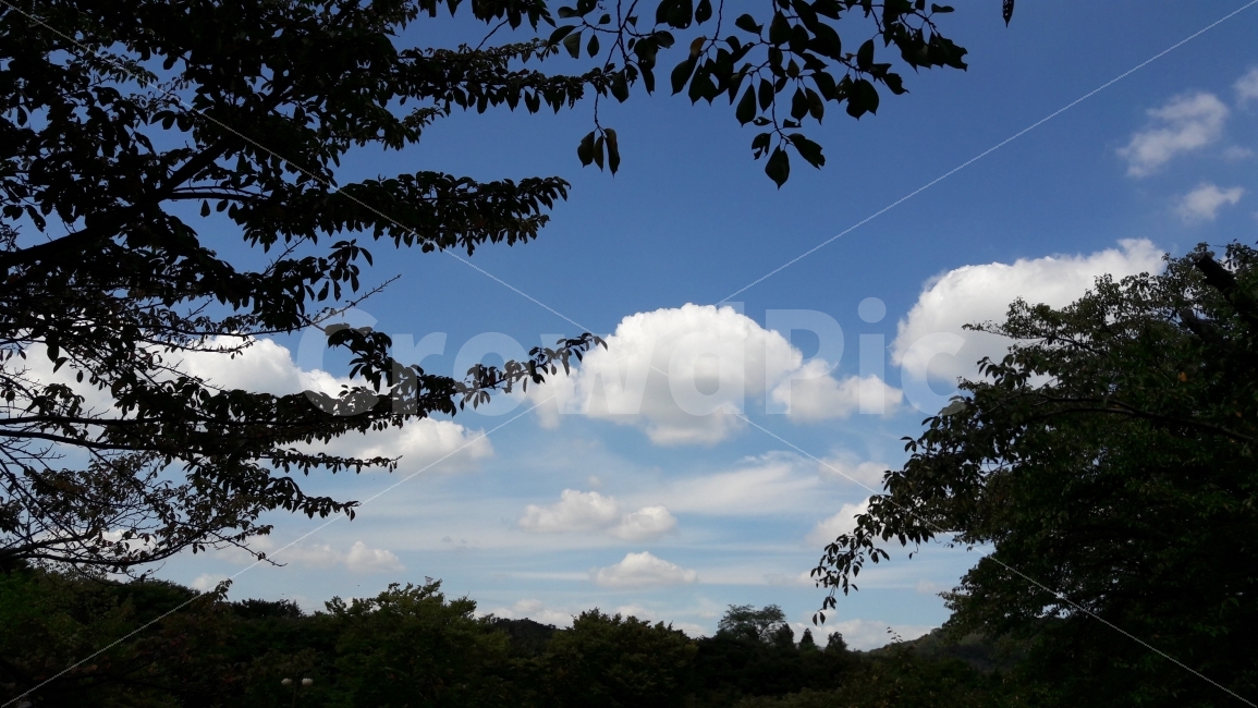 하늘,뭉게구름,구름,바람,인천대공원,자연,풍경,nature,landscape,weather,날씨,outdoors,옥외,sky,cumulus,적운,cloud