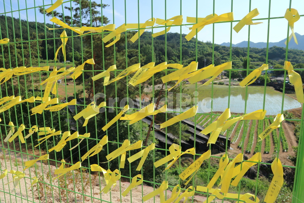 세월호,리본,추모행사,울타리,노란색,기념